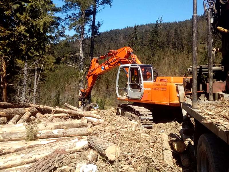 Azpiazu Servicios Trabajos Forestales